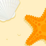 Starfish and shell on the beach illustration